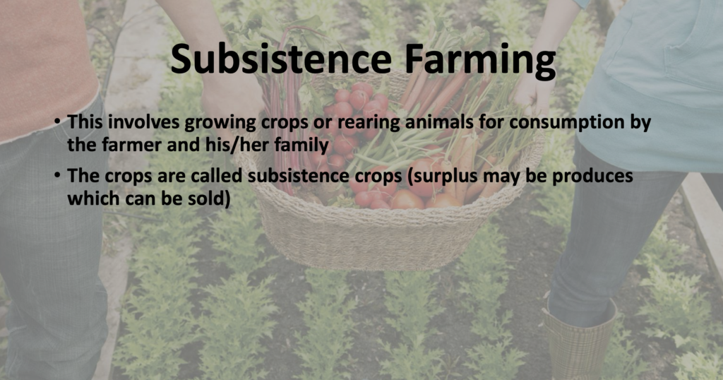 geography of food production